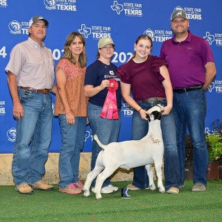 addison hahn state fair 2nd goat