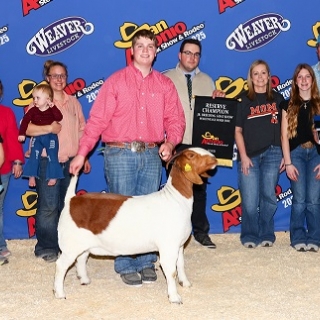 case carptenter jr overall res grand % doe San Antonio