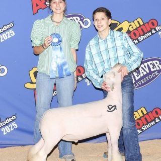 cody morris reg breeding show 1st san antonio