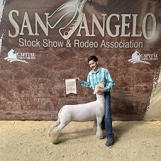 cody morris san angelo champ SD ewe