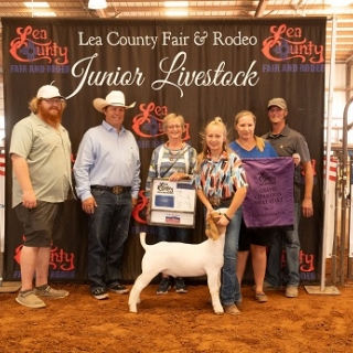 jillian lockwood grand Lea Co Fair NM